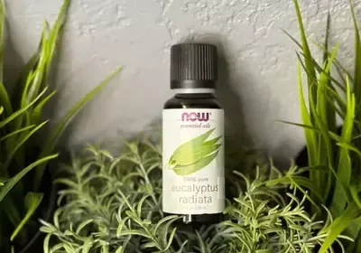 A bottle of eucalyptus essential oil is sitting on top of a plant.