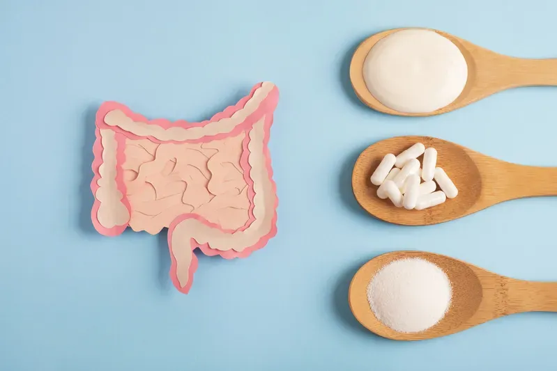 A model of a large intestine surrounded by wooden spoons filled with different types of probiotics.