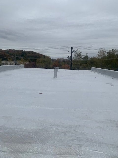 Flat white rooftop under a cloudy gray sky, with a vent pipe and distant trees.