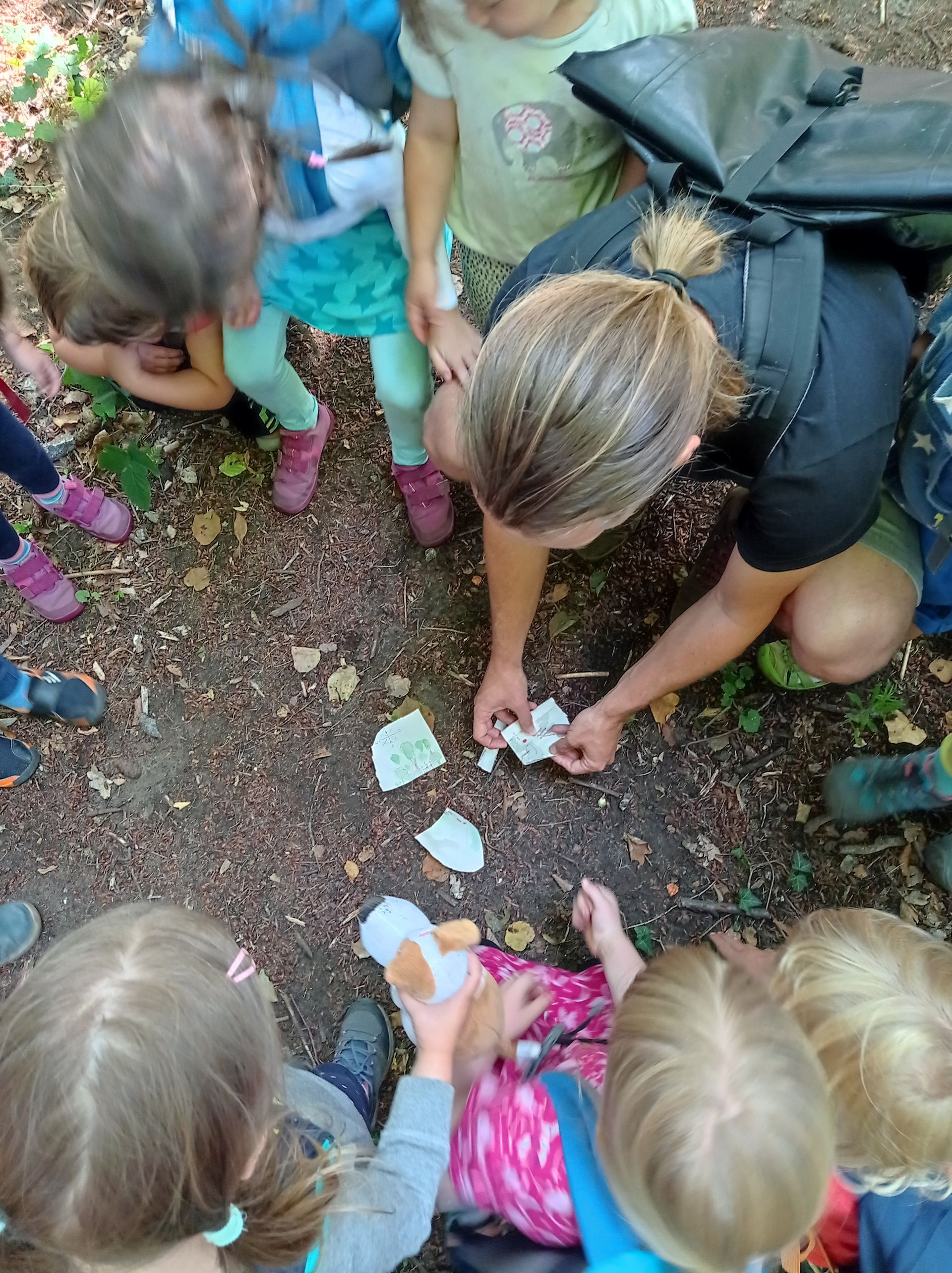 Kinder schauen sich den Waldboden an