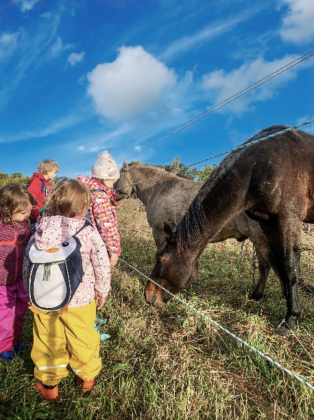 Kinder besuchen Pferde auf der Weide