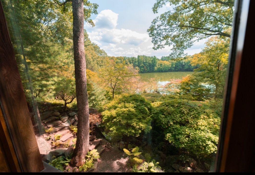 A view of a lake through a window with trees in the foreground.