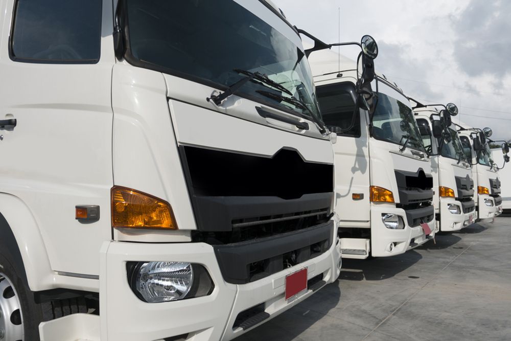 White trucks lined up in a parking lot — Auto Electrical & Air Conditioning in Tamworth, NSW
