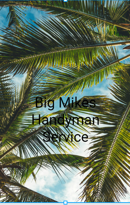 A picture of palm trees with the words big mikes handyman service