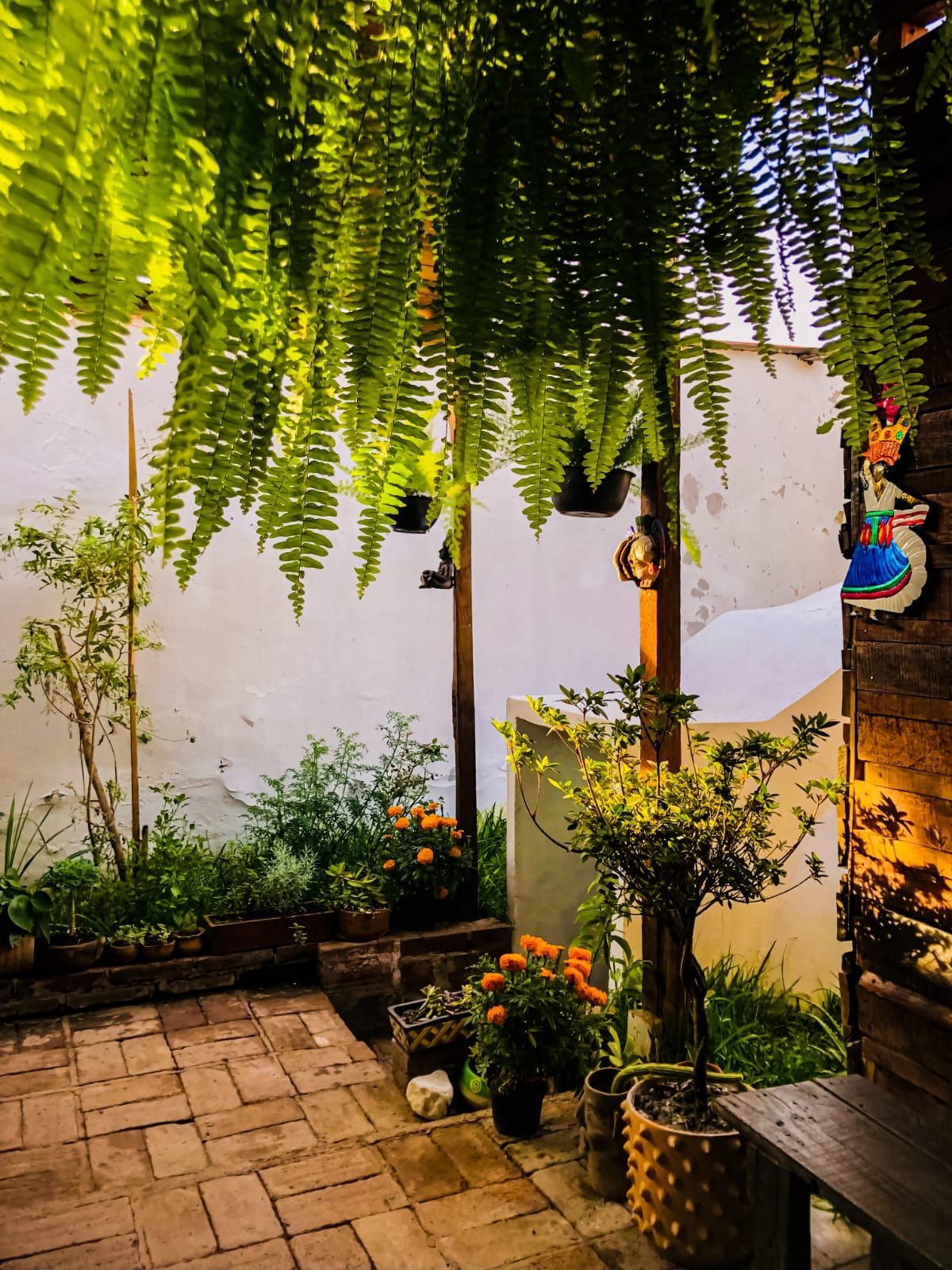 area_de_temazcal