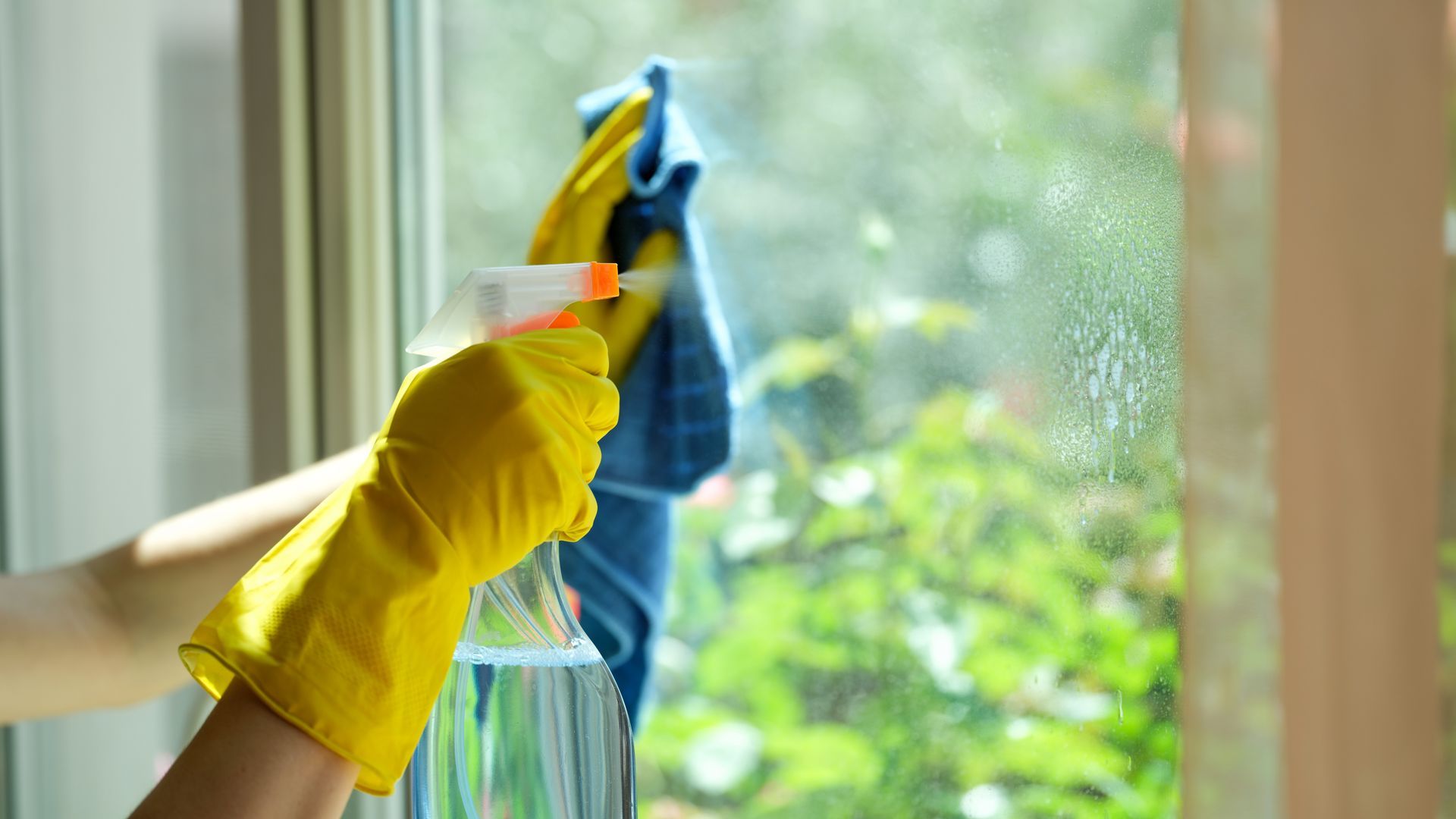Gloved hand sprays cleaner on a sunlit window beside a blue cloth.