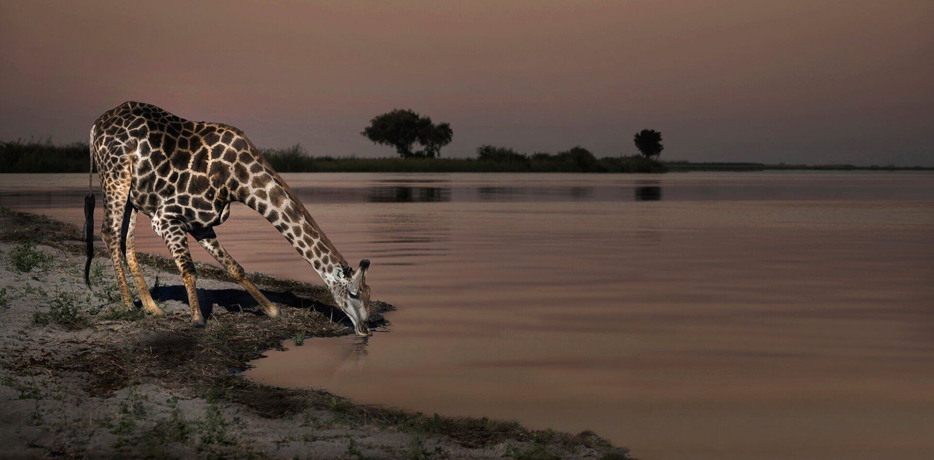 The African Spirit Wildlife 8
