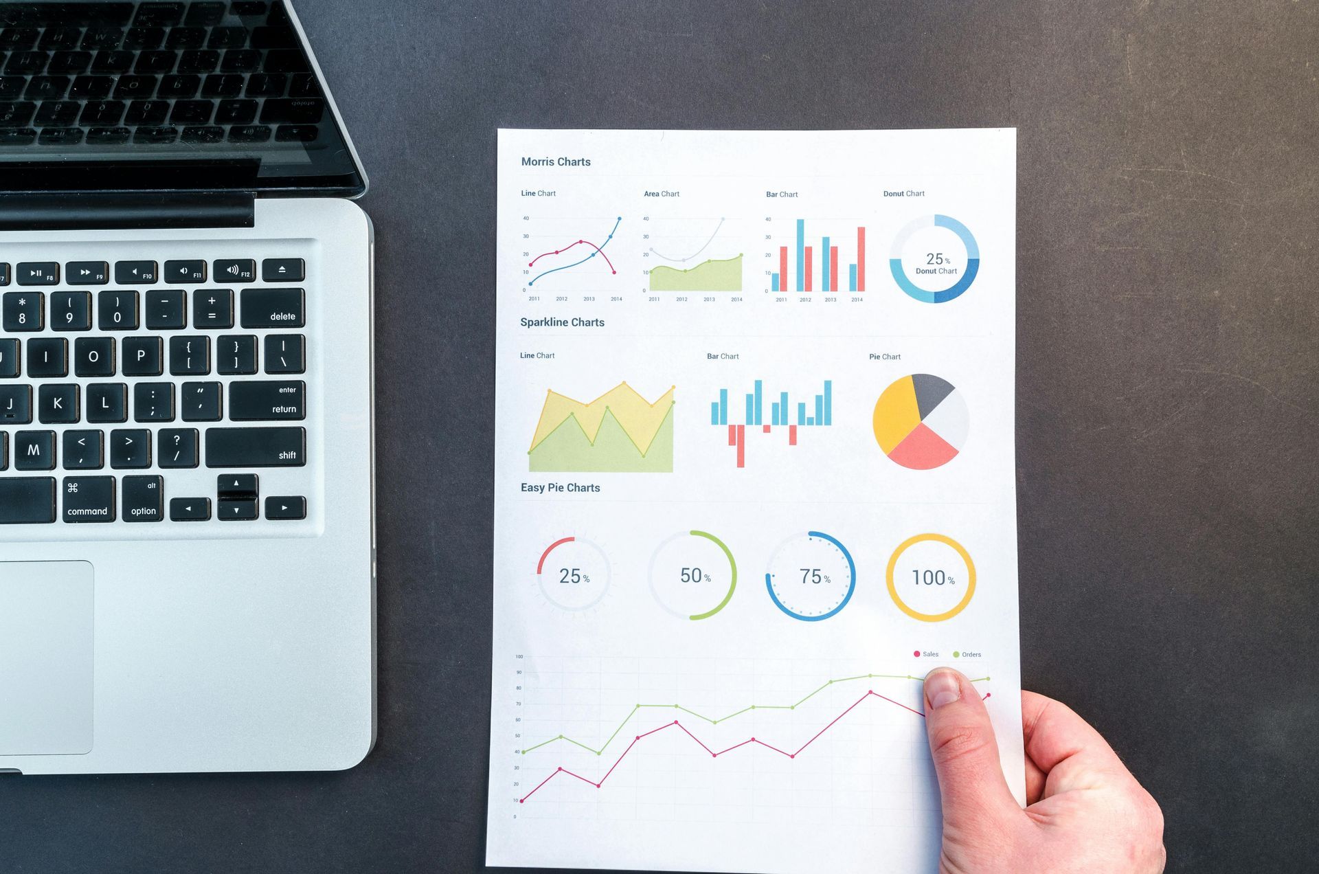 Website Design Near Mapleton