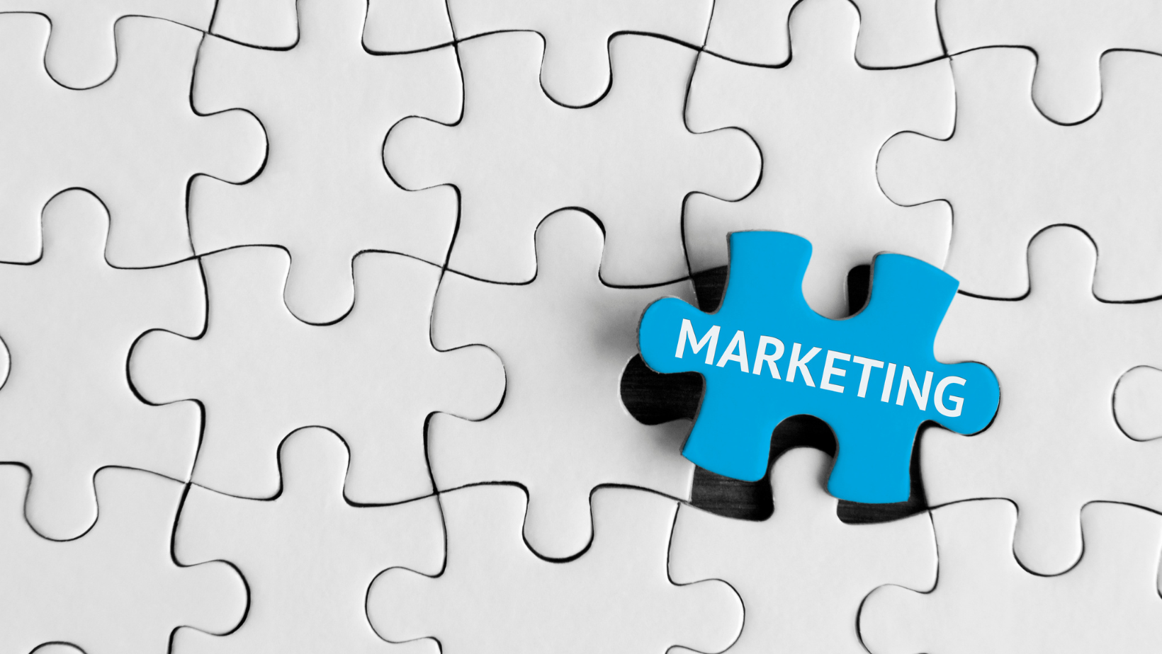 CEOs or VPs of Marketing