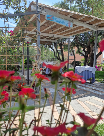 Pergola da giardino con fiori rossi in primo piano e una zona salotto esterna ombreggiata alle sue spalle.