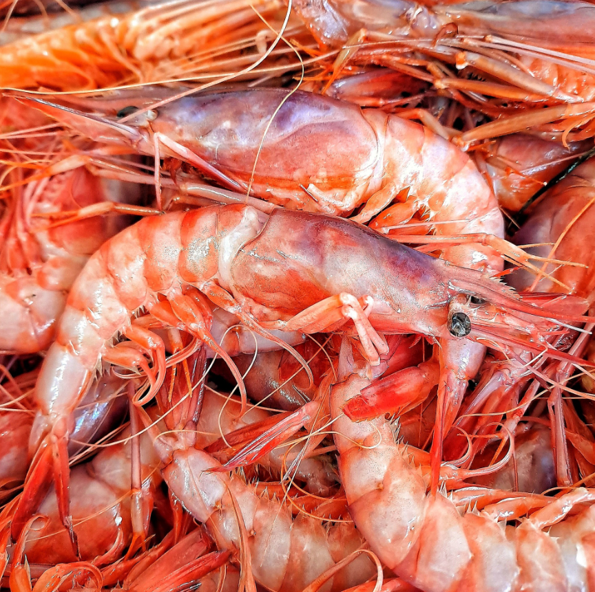 Un mucchio di gamberi rosa cotti, con guscio e antenne, impilati strettamente in primo piano.