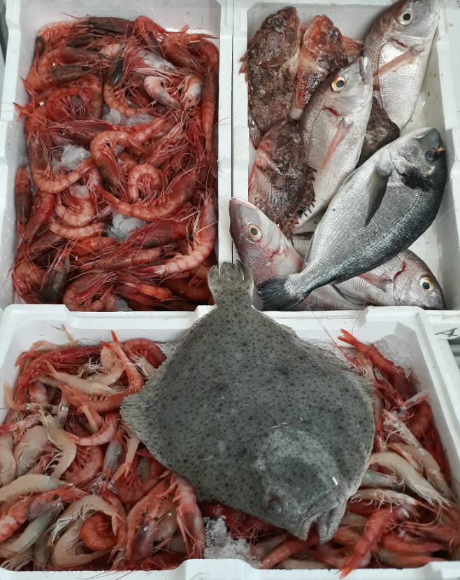 Pesce e gamberetti freschi in cassette bianche, con un pesce grigio e piatto al centro in primo piano.
