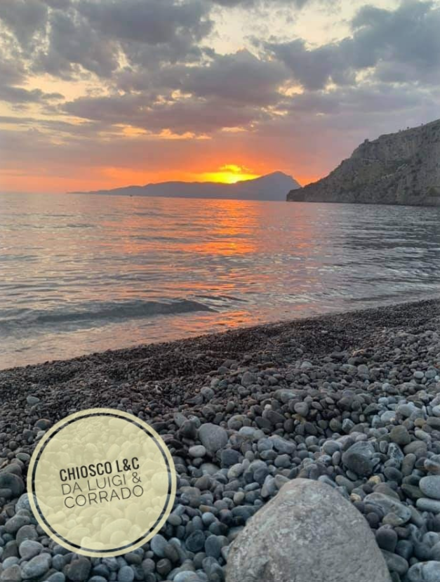 Tramonto su un mare calmo con costa rocciosa e una foca rotonda Chryso Lacy Gold in primo piano.