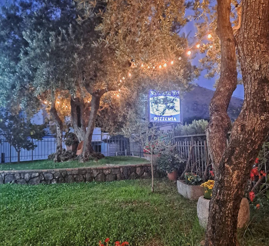 Giardino crepuscolare con alberi illuminati, muro di pietra e un cartello blu accanto a una recinzione.