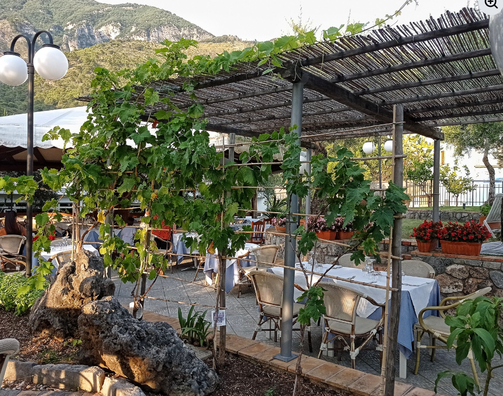 Terrazza esterna del caffè con tovaglie bianche, piante rampicanti e vista sulle montagne sotto un pergolato.
