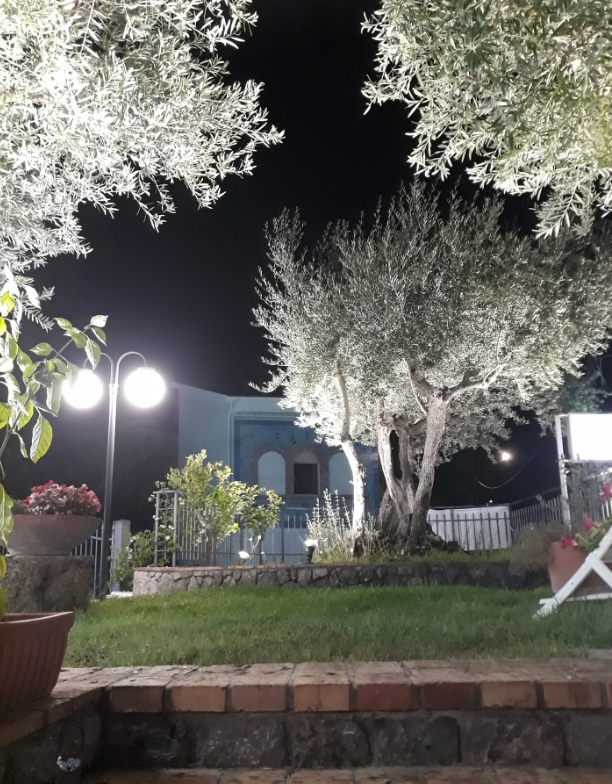 Giardino notturno con alberi illuminati, un edificio blu e un primo piano erboso.
