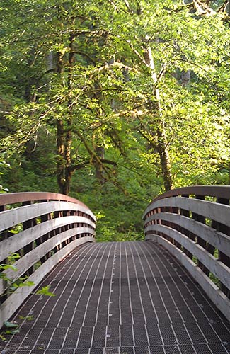 Bridge with beautiful Nature
