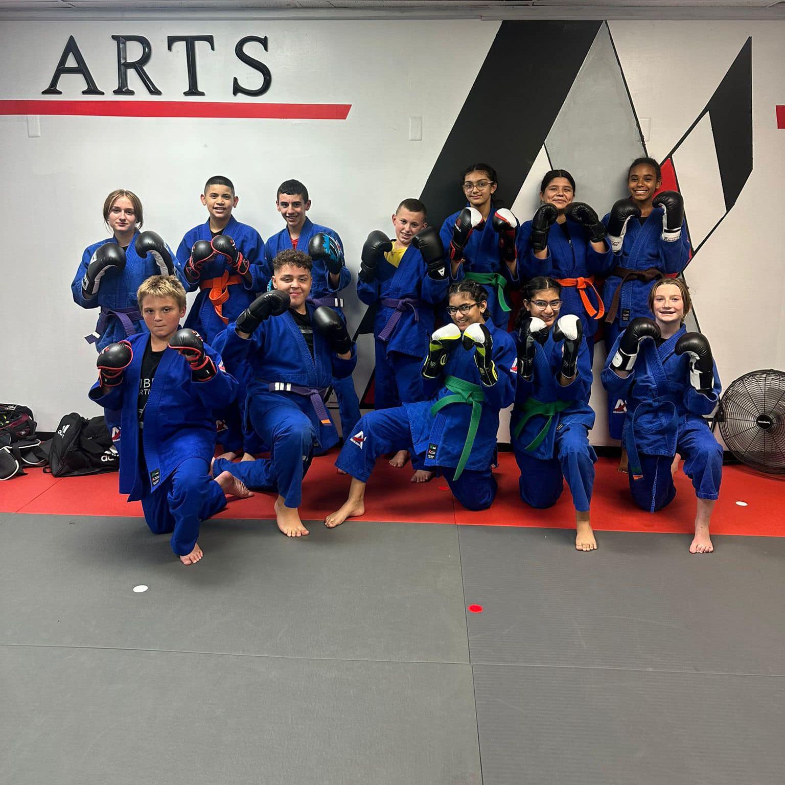 adult martial arts
