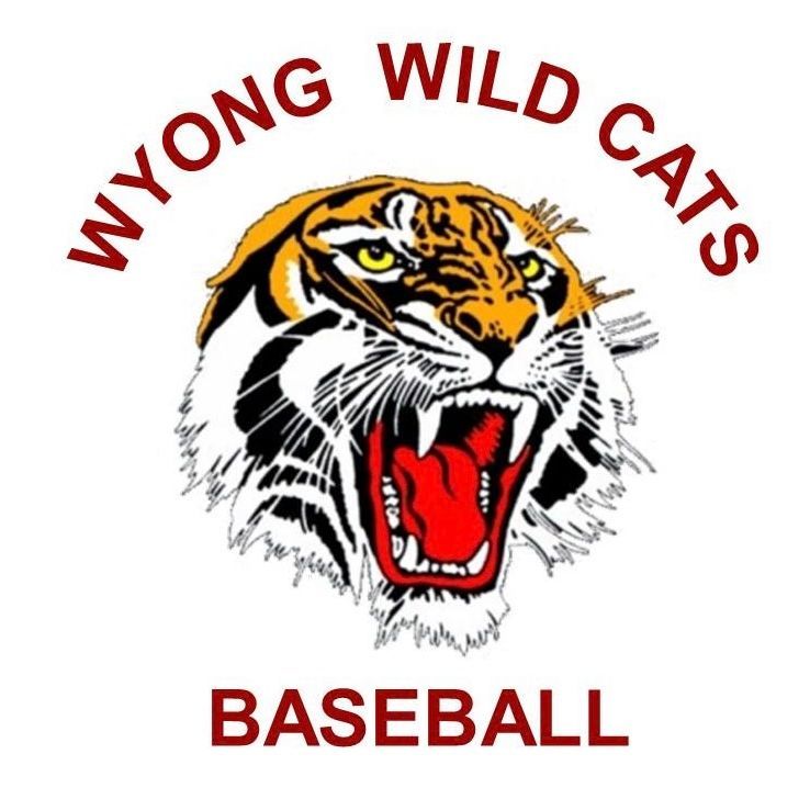 Wild Cats Logo