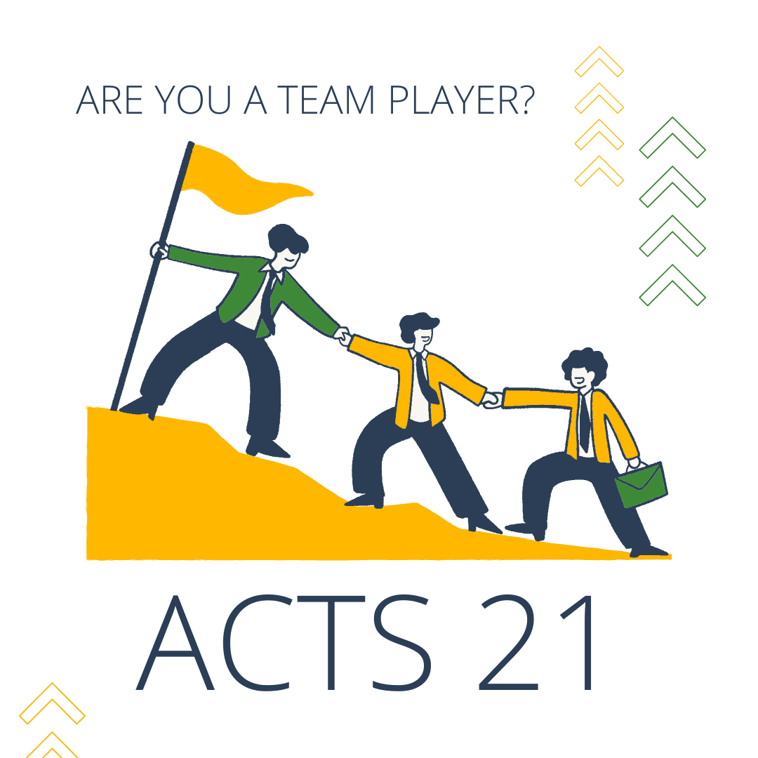 A group of people are helping each other up a hill.