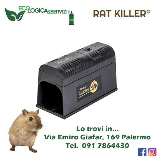 trappola