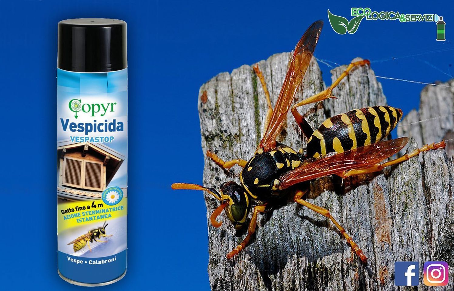 vespicida
