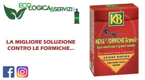 veleno formiche