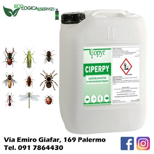 insetticida