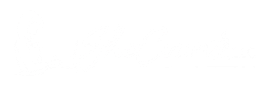 SheCounts logo featuring a clean, modern design.
