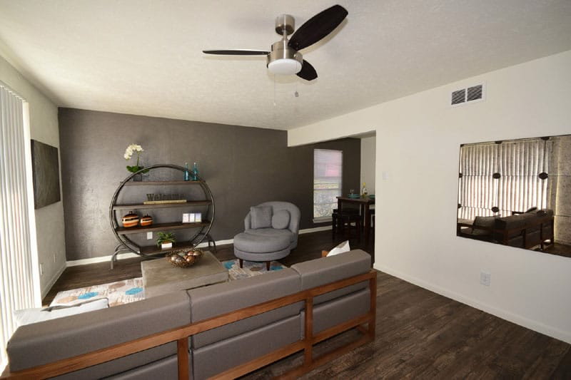 Modern living room with gray accent wall, round chair, shelving, and dark wood flooring