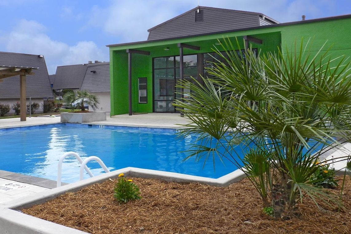 Backyard pool beside a bright green house with palm trees and a tiled patio