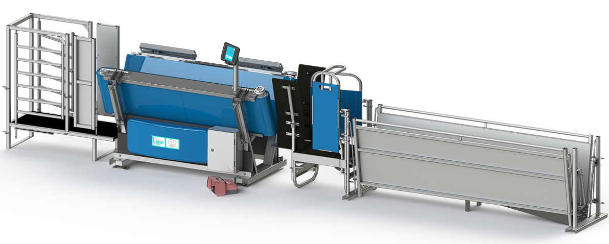 Industrial blue-and-silver conveyor and processing machine on a white background