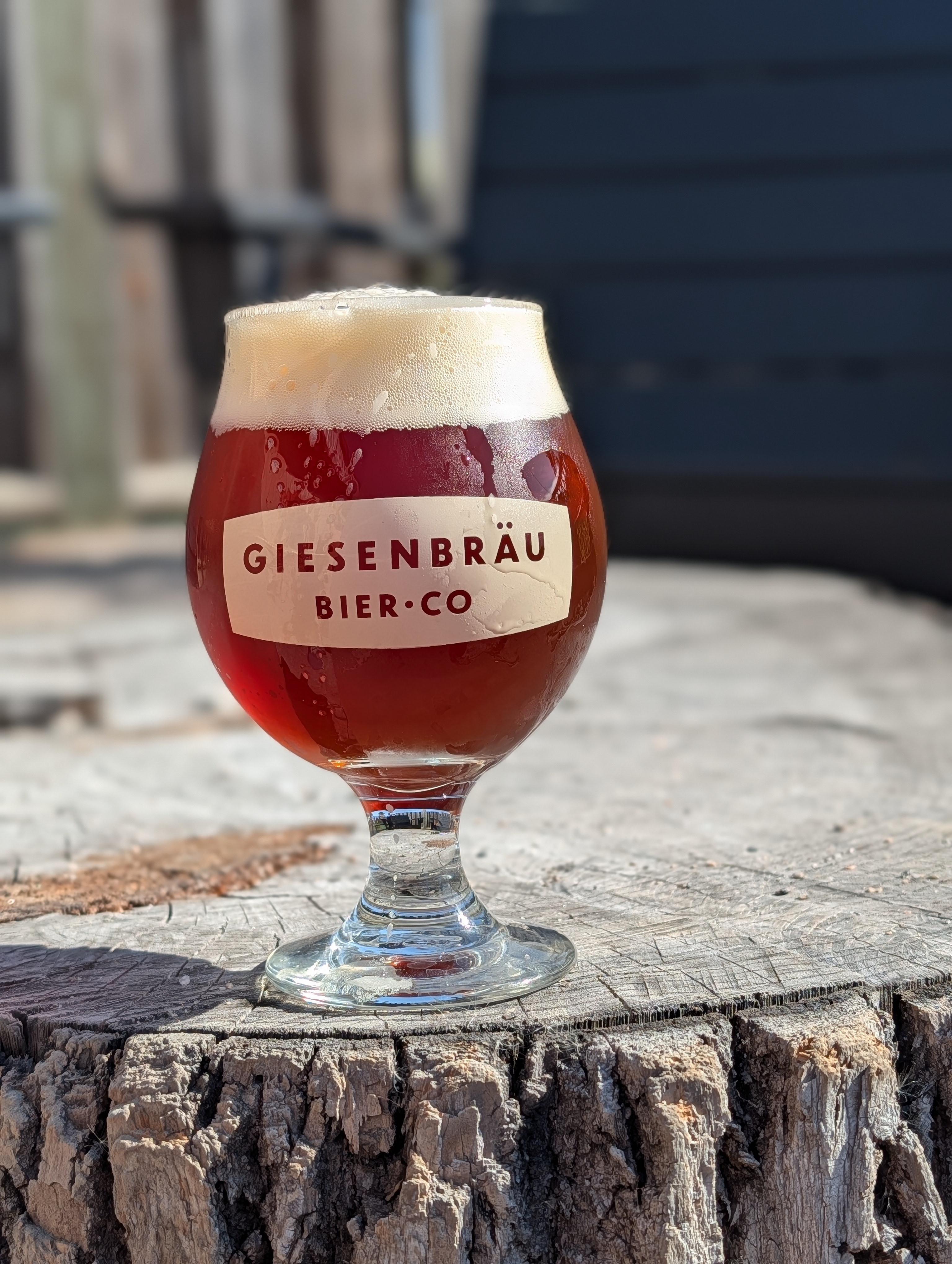 Pint of beer on a table at an outdoor gathering, with people and trees blurred in the background