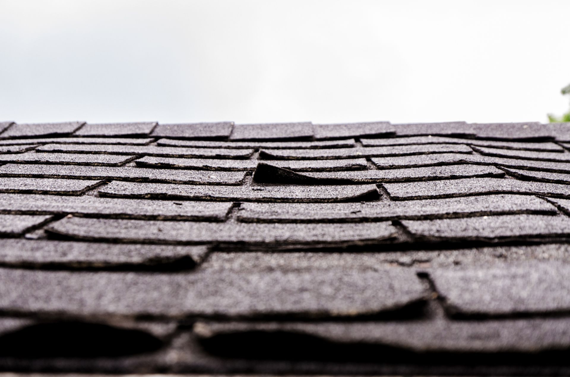 Damaged Asphalt Shingles — Lakewood Ranch, FL — Charlie Rice Roofing, Inc.