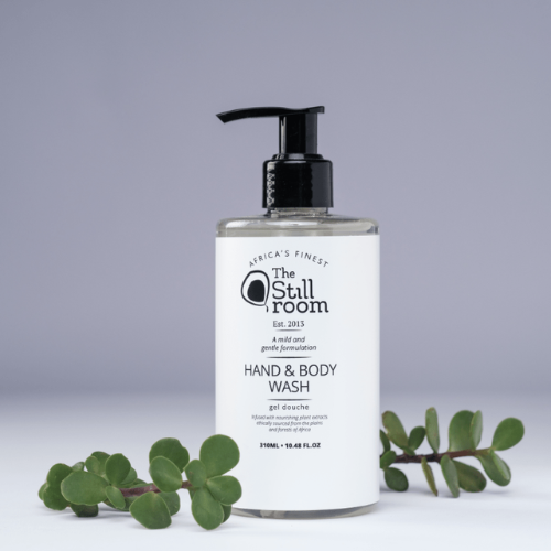 Bottle of hand and body wash on a white surface with greenery against a gray backdrop.