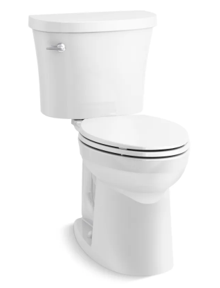 A white toilet is sitting on a white surface.