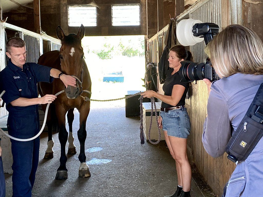 professional photographer berkshire, equine vets