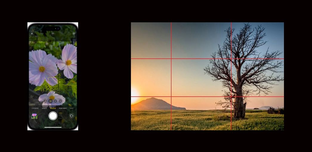 Commercial Photography Reading, example of the rule of thirds