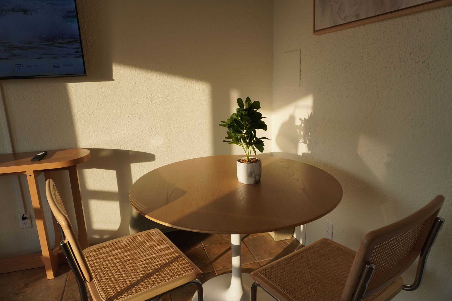 A round table with wicker chairs and a potted plant on it