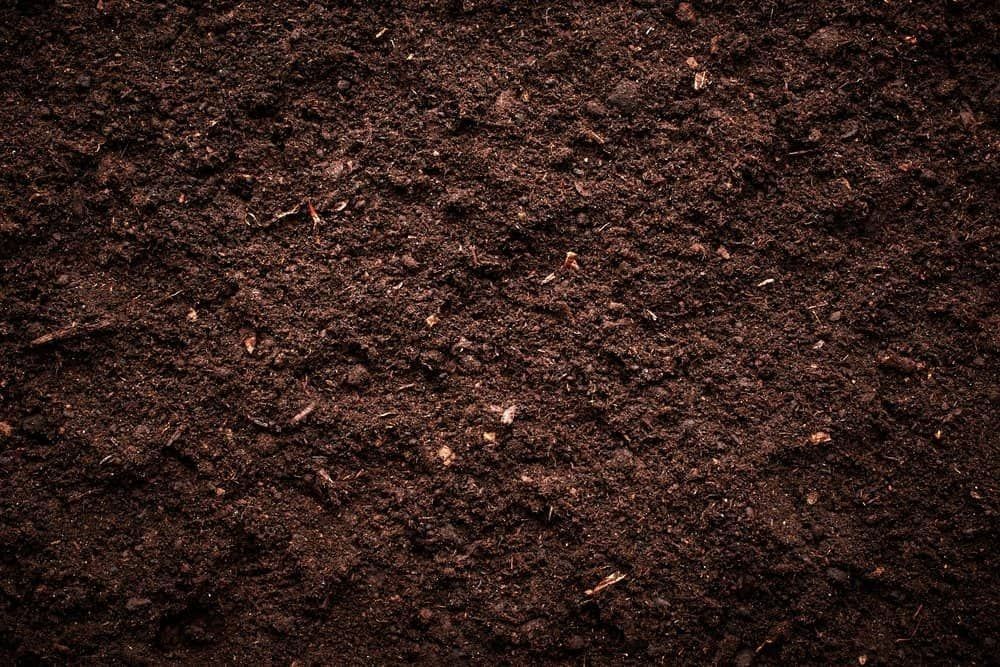 Dark Brown Soil Close-up, Textured and Earthy — Blue Dog Earthmoving Landscape Supplies in Newee Creek, NSW