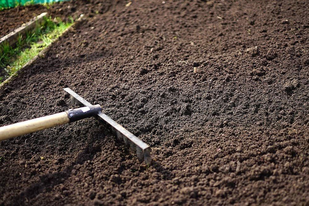 Topsoil