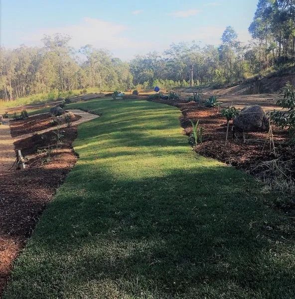 A Grassy Path Winds Through a Landscaped Area With Trees — Blue Dog Earthmoving Landscape Supplies in Newee Creek, NSW
