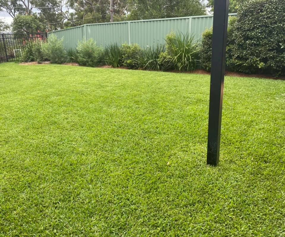 Lawn Care Program All Seasons Lawn Care