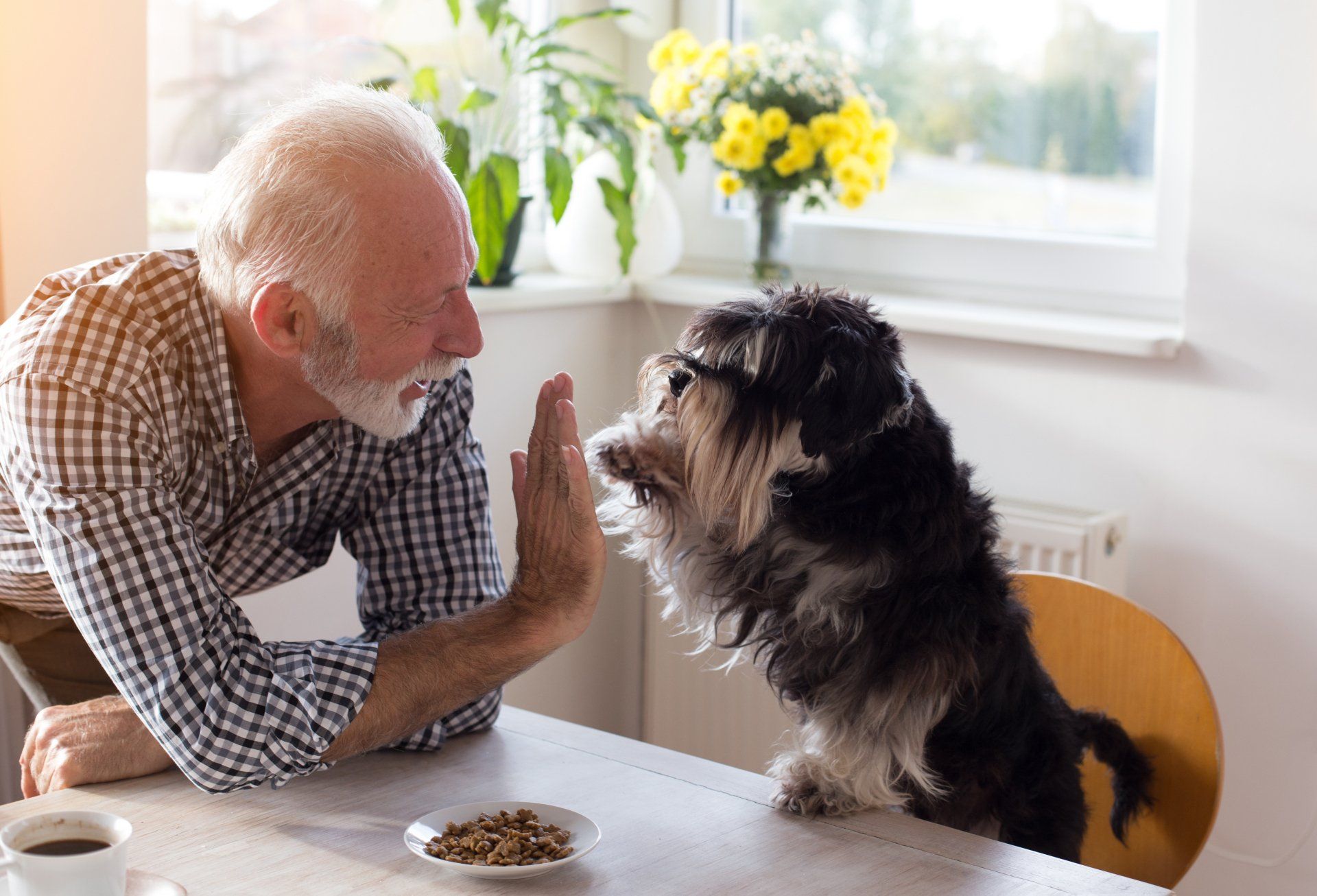 Senior high-fiving a dog