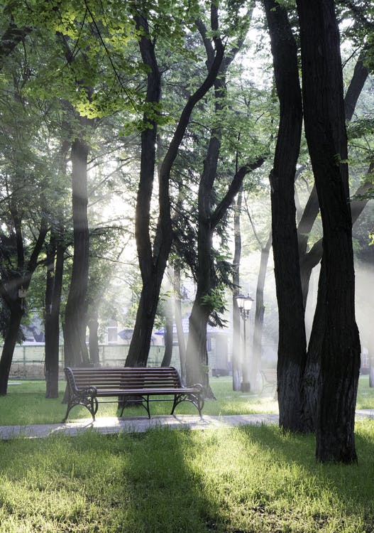 shot of park