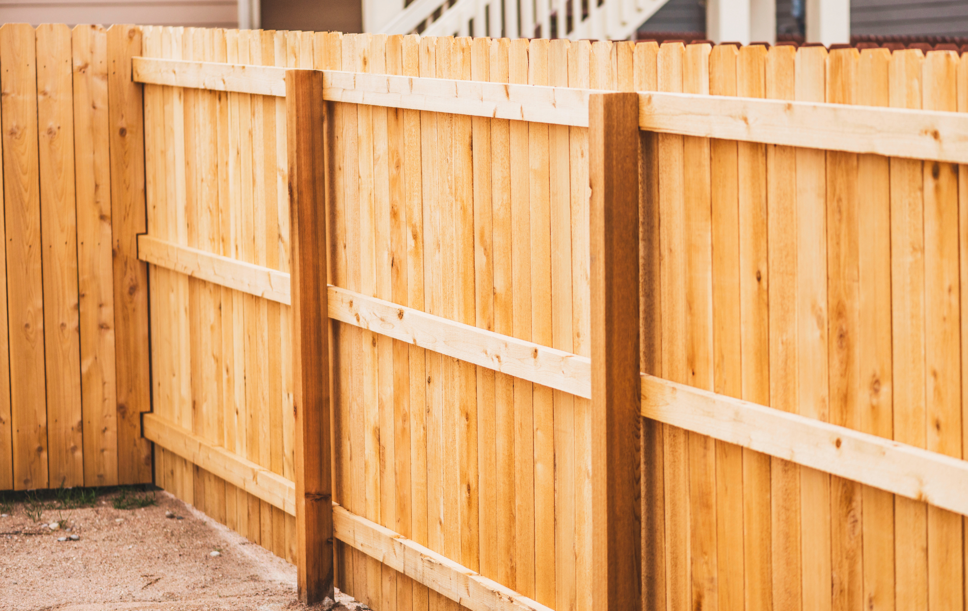 A black fence is surrounded by green bushes and trees.