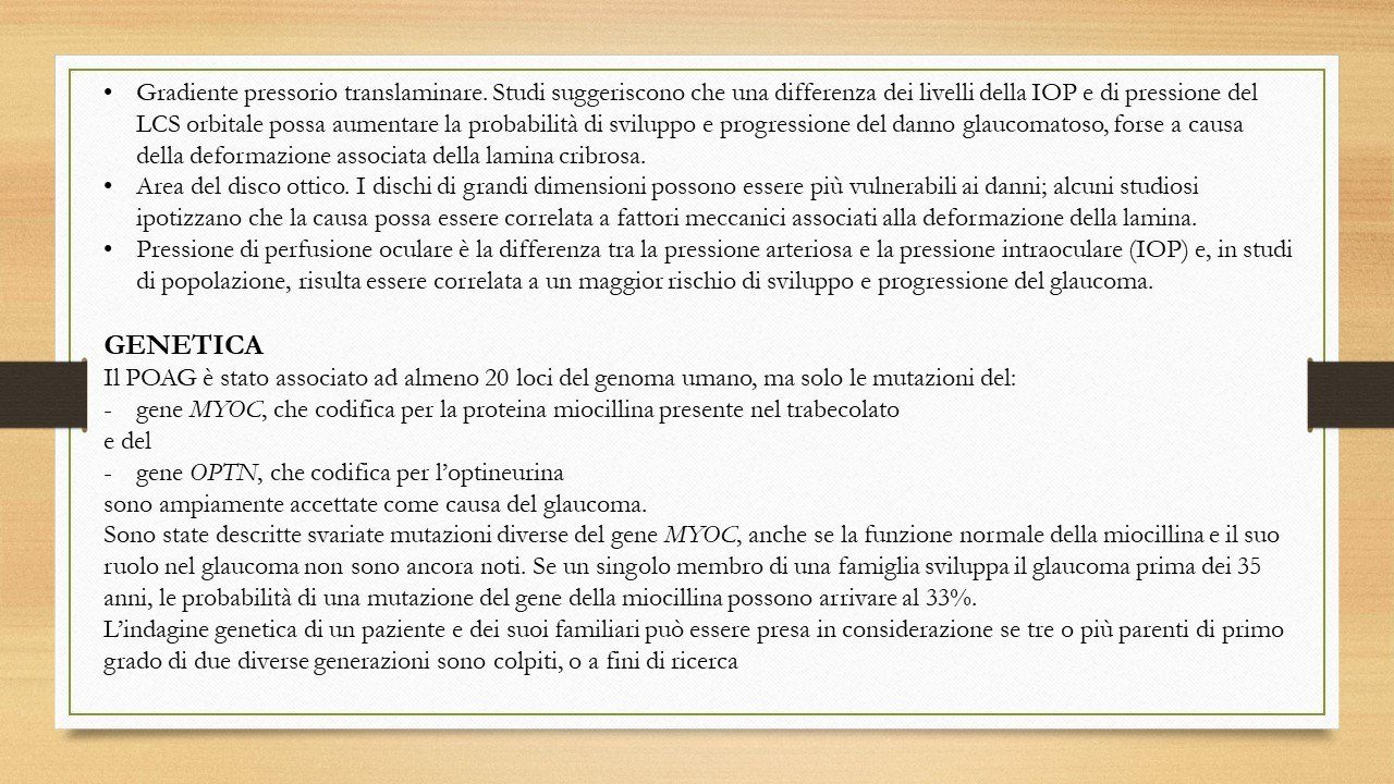 oculista, corsano, carucci, oculista carucci