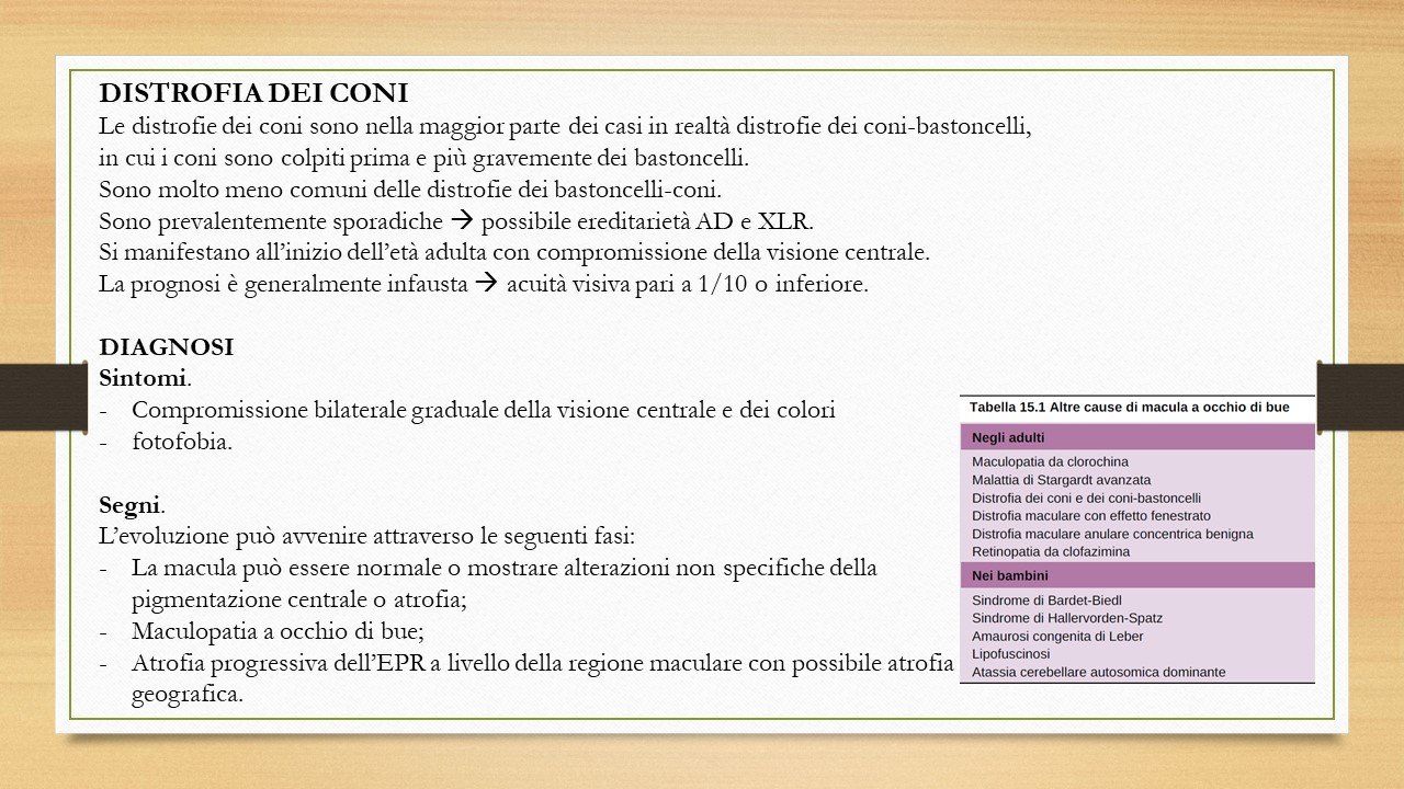 oculista, corsano, carucci, oculista carucci