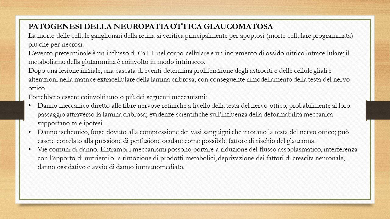 oculista, corsano, carucci, oculista carucci