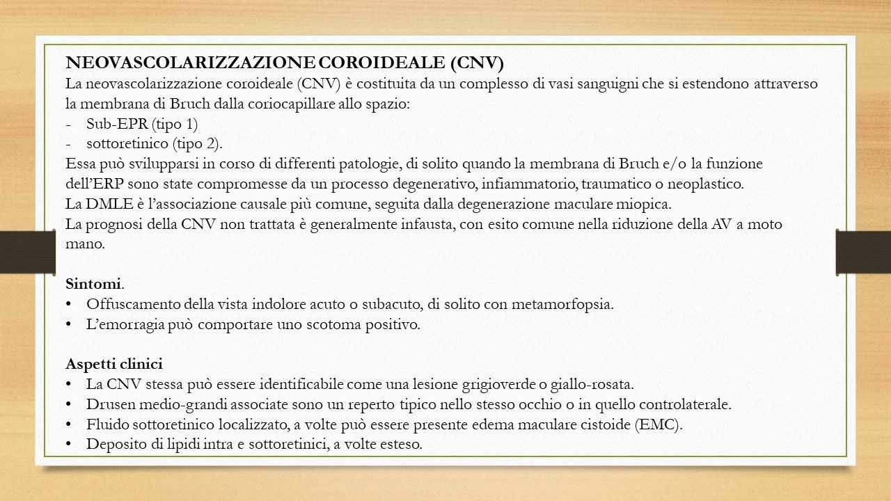 oculista, corsano, carucci, oculista carucci